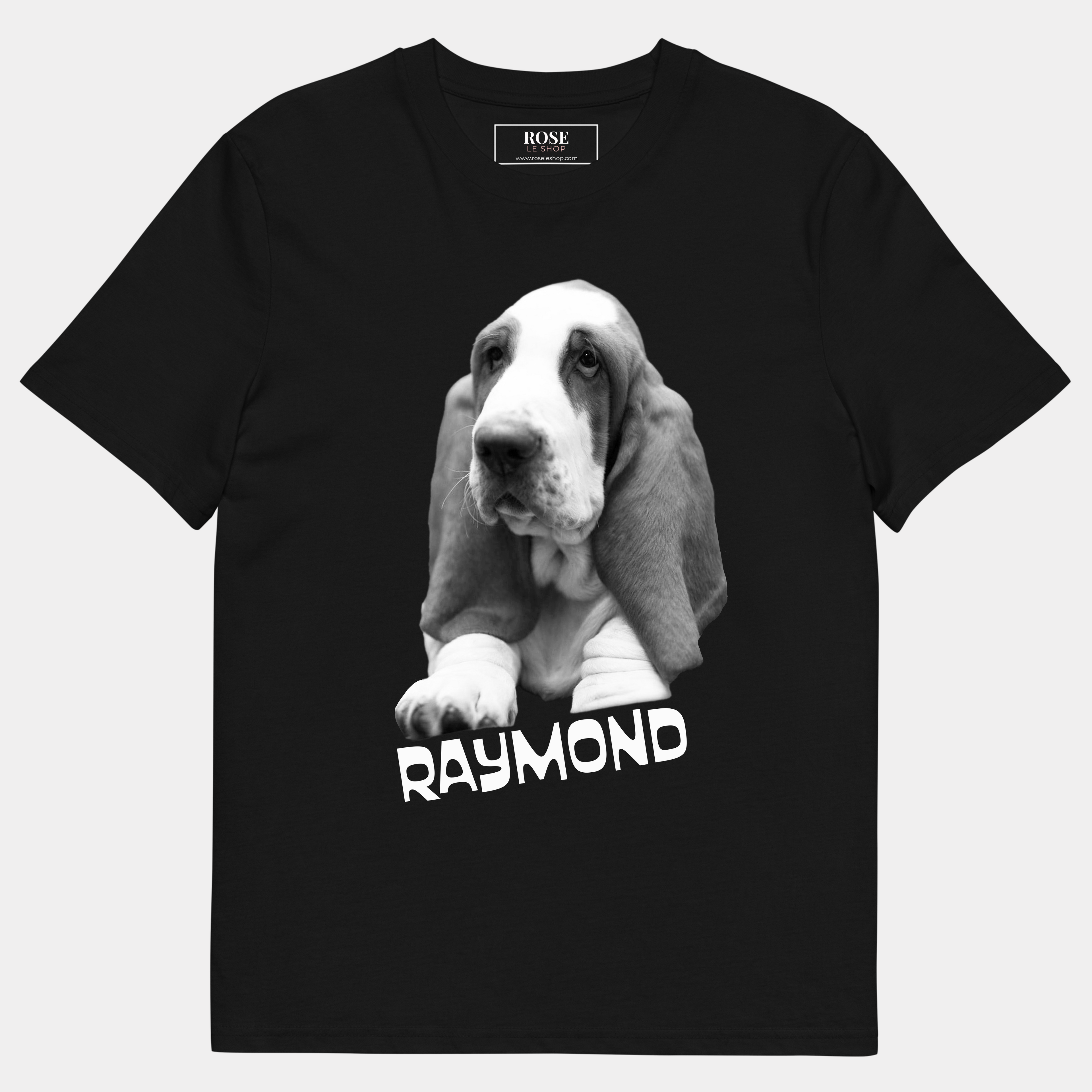 T-Shirt RAYMOND