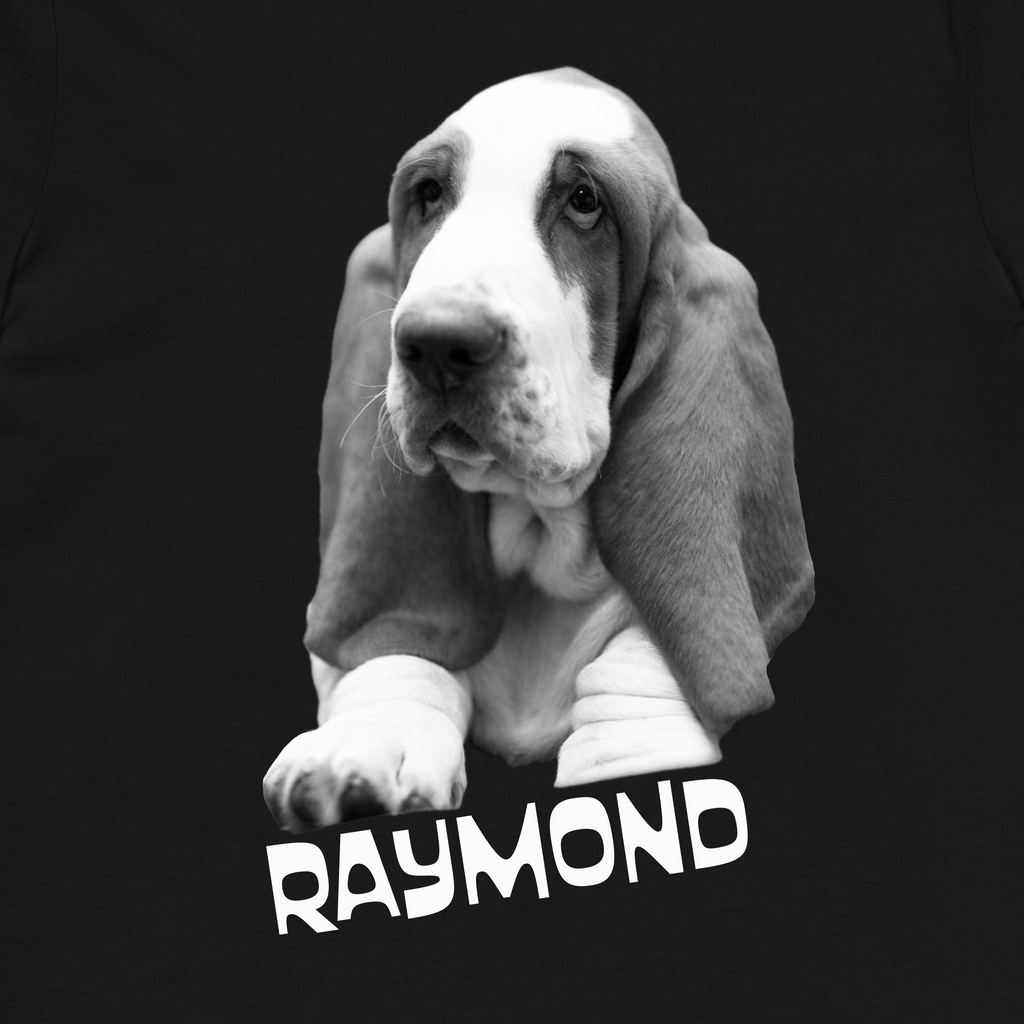 T-Shirt RAYMOND